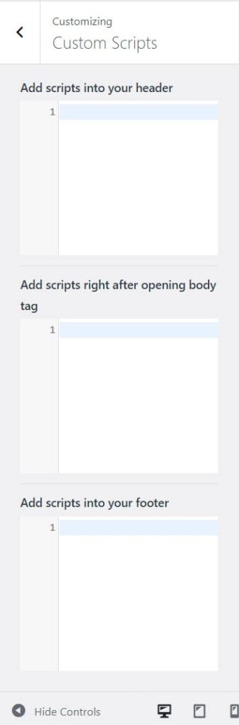 Kadence Theme Custom Scripts