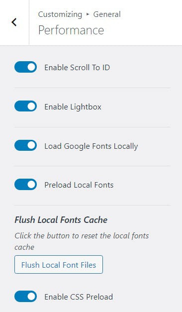 Kadence Theme Performance Features